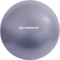 Fitness Gym Ball 65cm