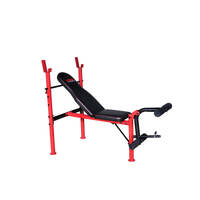 Warrior Standard Bench