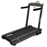 Delta T500 Treadmill