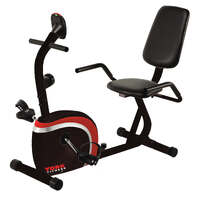 Performance Recumbent Bike